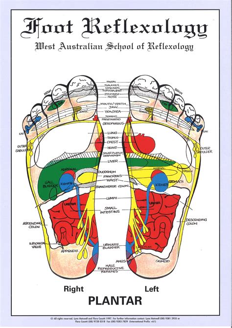 Reflexology Chart For Feet