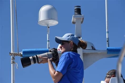 Measuring dolphin response to Navy sonar – Geospatial Ecology of Marine Megafauna Laboratory