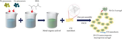 Schematic Representation Of The A In Situ Sol Gel Assembly Process