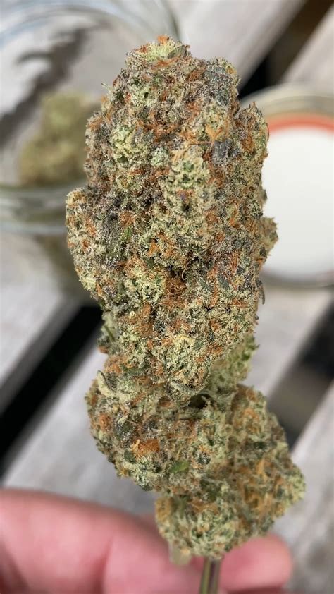 Strain Review Crunch Berries Lso Sweetgrass Rthebccs