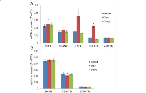 Gene Expression Levels Analysed Using Quantitative Mrna Expression