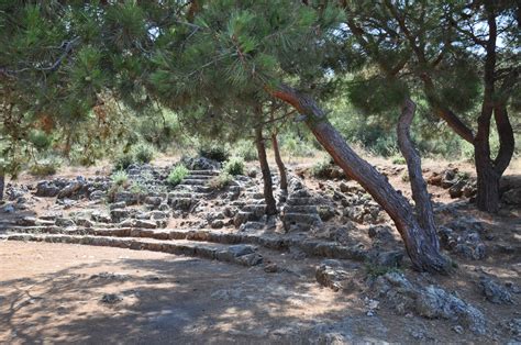 Panionium | Turkish Archaeological News