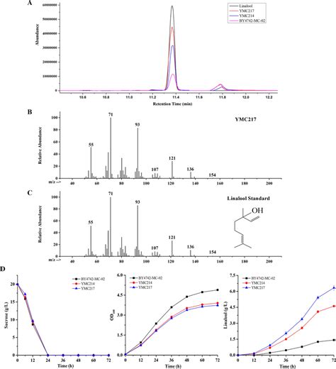Linalool production from engineered S. cerevisiae strains. A Total ion ... 
