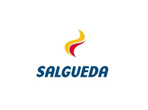 Salgueda Inserts de leña al mejor precio Estufas de leña Online