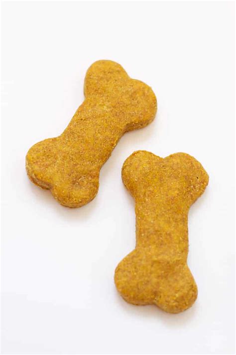 Healthy Pumpkin Dog Treats | Food with Feeling