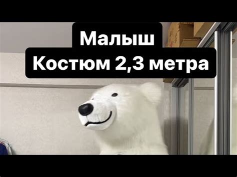 Медведь для помещений, рост 2,3 метра +79518701779 - YouTube
