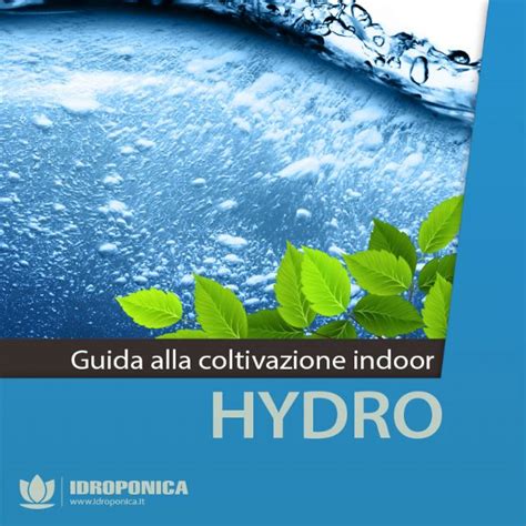 Guida Coltivazione Idroponica Tecniche Di Coltura