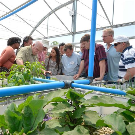 Learn Aquaponics Aquaponic Training And Classes