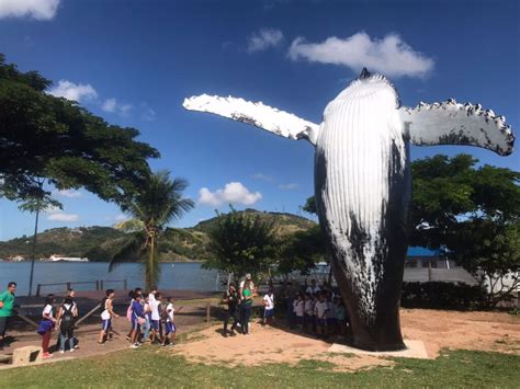 Vitória ganha a maior réplica de salto da Baleia Jubarte do Brasil