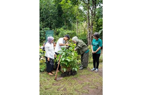 dukung reforestasi  ekonomi lokal garut smbc indonesia tanam