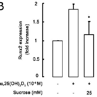 Effect Of Hyperosmotic Stimulus Of Sucrose On Oh D Induced