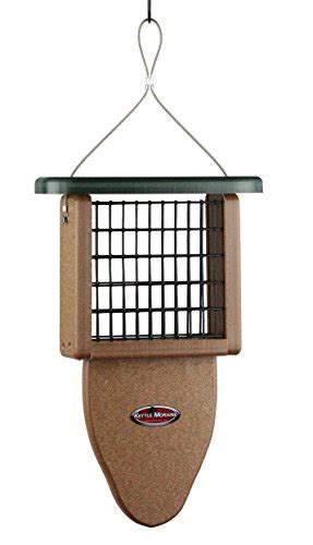 Best Suet Feeders For Woodpeckers (6 Great Choices) - Bird Feeder Hub