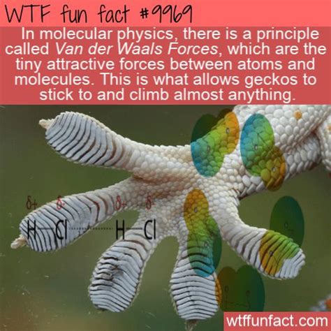 Interesting Random Wtf Facts Amazing Wtf Facts