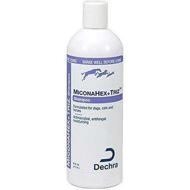 4 Best Dog Shampoos For Allergies To Help Your Itchy Dog - DodoWell ...