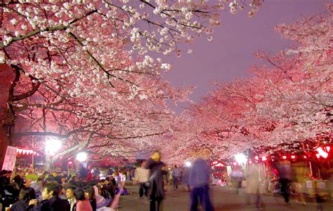 Tokyo Ueno Park In Japan