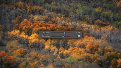 Vibrance Vs Saturation In Photo Editing Mastering Color In Lightroom