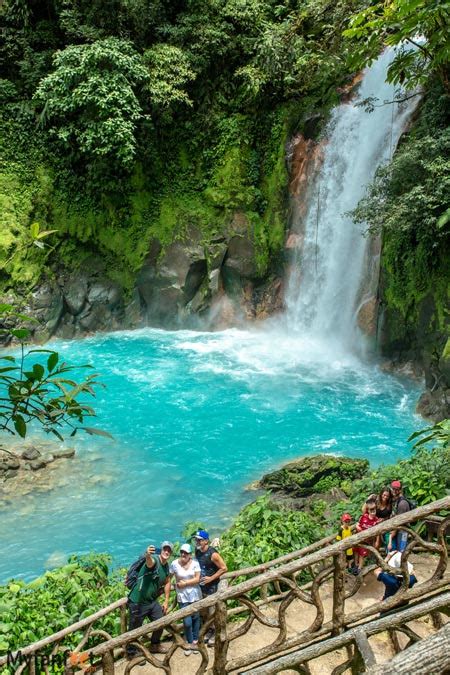 Swimming Rio Celeste Costa Rica, 43% OFF | biorigin.net