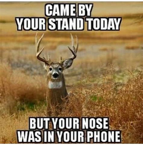 Deer Funny Hunting Quotes Shortquotes Cc