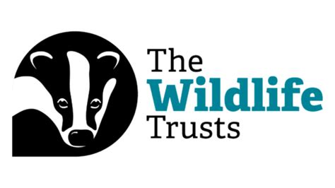 Atualizado The Wildlife Trusts Guardando O Mundo Natural Do Reino