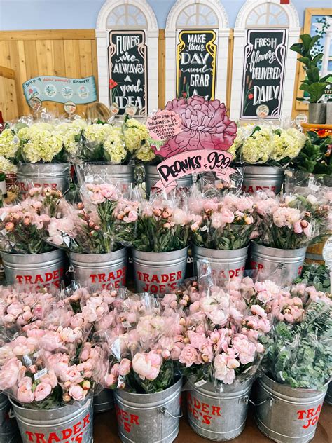 10 Must-Have Trader Joe's Summer Essentials | Jess Ann Kirby