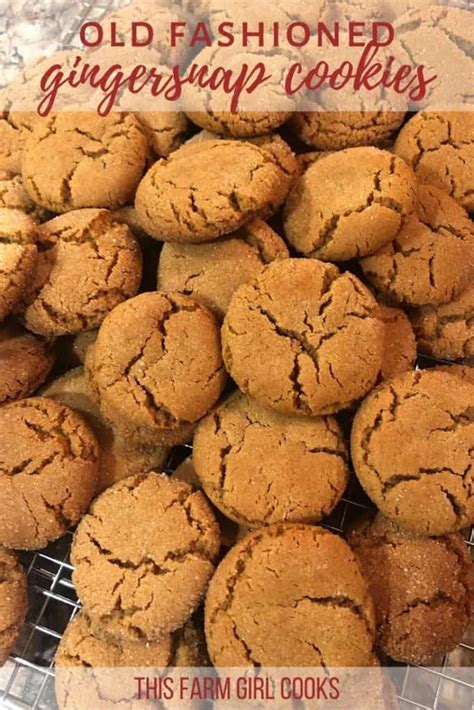 Grandma S Old Fashioned Ginger Snap Cookies