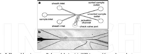Figure 2 from Hydrodynamic Focusing in Microfluidic Devices | Semantic ...