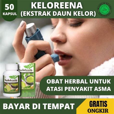 Obat Herbal Penyakit Asma Sesak Napas Sulit Bernafas Nyeri Dada