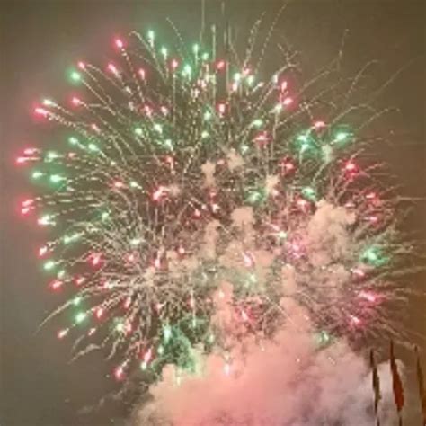 Backyard Quickie Gay Public Amateur Porn Xhamster