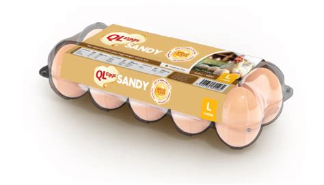 buy premium nutrient rich eggs  malaysia ql eggs full range