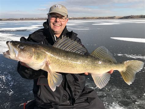 Why Female Walleye And Other Gamefish Grow So Much Bigger Than The