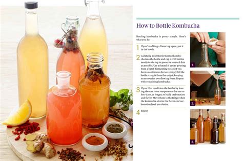 Vitalia The Big Book Of Kombucha