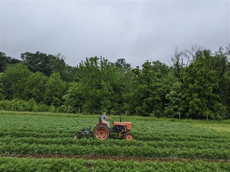2025 Summer CSA - Pennypack Farm & Educational Center