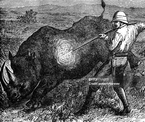 Rhinoceros Big Game Hunting In Africa 19th Century High Res Vector