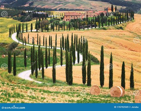 Landscape In Tuscany With Bending Road And Cypress Trees Located In