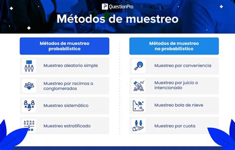 Muestra Representativa Qué Es Importancia Y Ejemplos