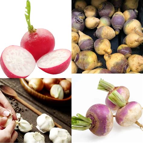 8 Low Carb Root Vegetables To Include In Your Diet Now Fitness Bash