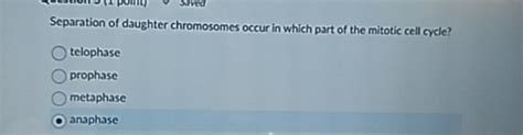 Solved Separation of daughter chromosomes occur in which | Chegg.com