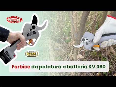 Forbici Da Potatura Professionale Volpi Kv Top Di Gamma Dove