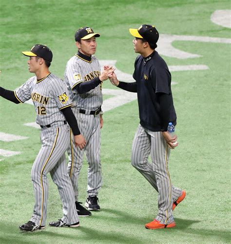 【虎になれ】木浪も、中野もプロだ 苦境を乗り越えろ阪神 虎だ虎だ虎になれ！ 野球コラム写真ニュース 日刊スポーツ