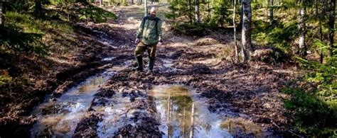 Stoppa Avverkningarna I Tyresta Naturreservat MittSkifte