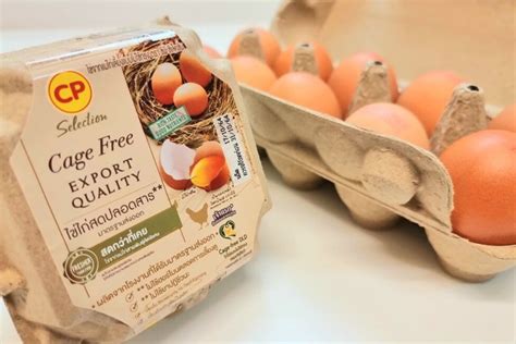 Cp Foods Increases Cage Free Egg Production By Poultry World