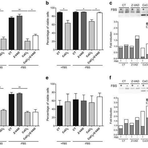 Granulosa Cell Metabolic Activity Viability And Parp Cleavage Under