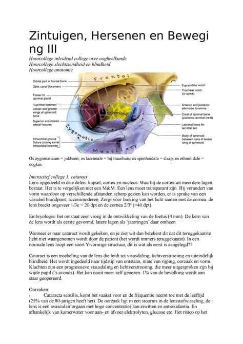 Sobotta Atlas Of Human Anatomy Zintuigen Hersenen En Beweging Iii