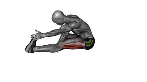 Mastering The Seated Single Leg Hamstring Stretch A Beginner S Guide