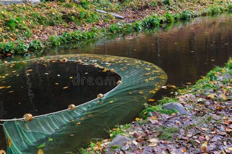 Hunting and Fishing. Fishing Net on the River. Stock Image - Image of ...