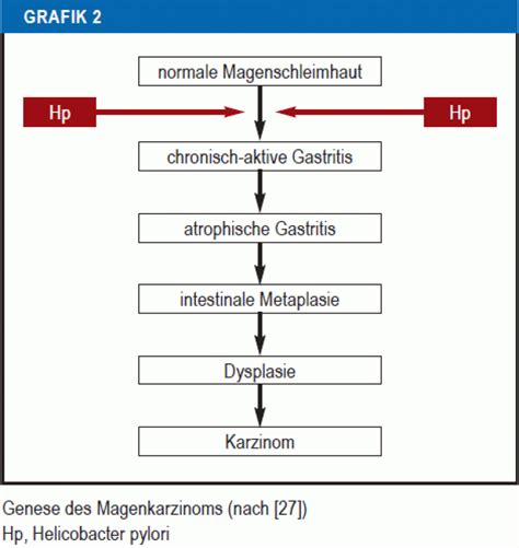 Helicobacter Pylori Infektion