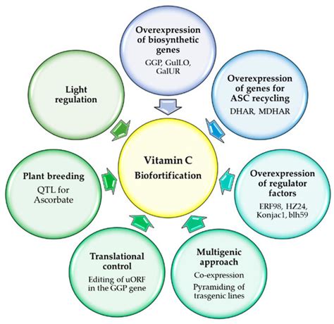 Ion Ascorbate