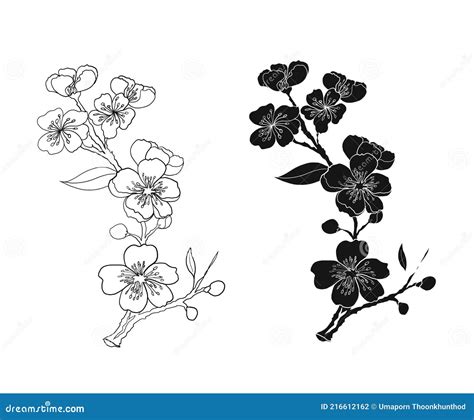 Apricot Flower Set for Tattoo.Japanese Floral Collection Stock Vector ...