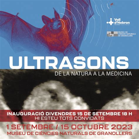 Projecte Fusmed Tractament No Invasiu De Tumors Amb Ultrasons