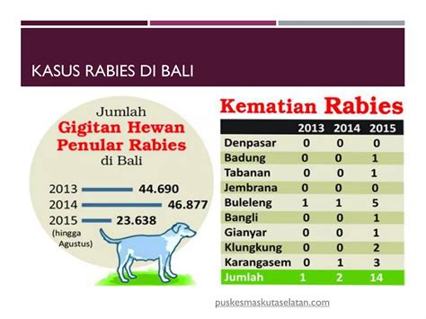 Penyuluhan Penyakit Rabies Pdf